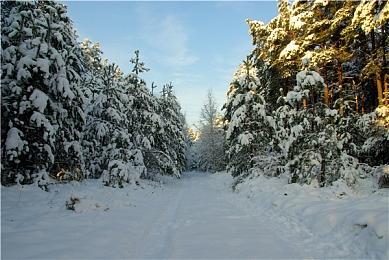 《GTA：三部曲-终极版》出现《荒野大镖客2》彩蛋 极光盆地